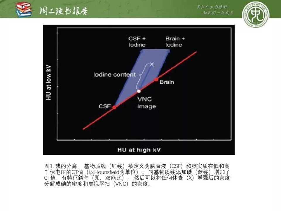 【PPT】急诊神经影像的双能CT成像