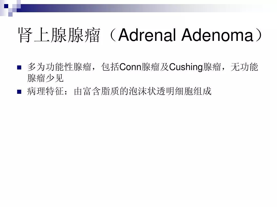 【PPT】腹膜后含脂肪成分肿瘤或肿瘤样病变