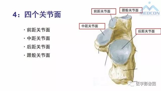 【PPT】跟骨肿瘤及肿瘤样病变影像诊断及鉴别诊断