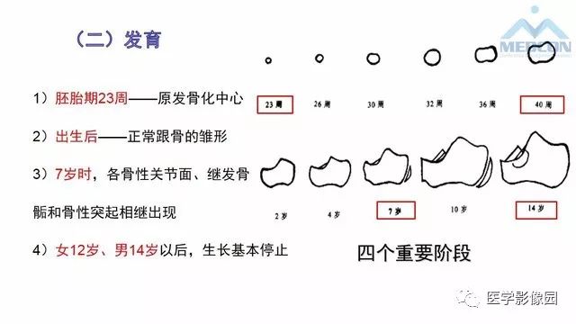 【PPT】跟骨肿瘤及肿瘤样病变影像诊断及鉴别诊断
