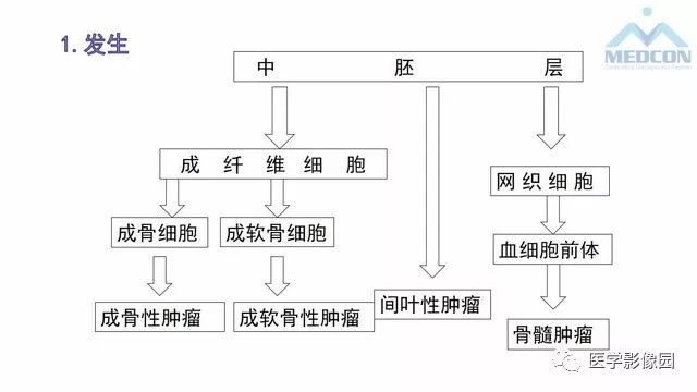 【PPT】跟骨肿瘤及肿瘤样病变影像诊断及鉴别诊断