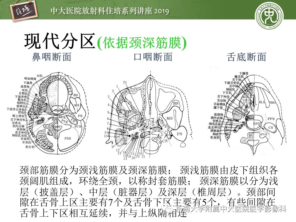 【PPT】颈部间隙的影像解剖及诊断思路