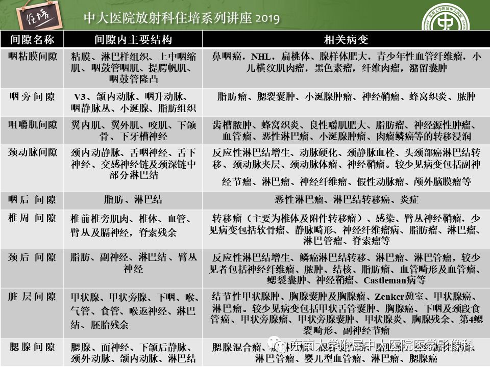 【PPT】颈部间隙的影像解剖及诊断思路