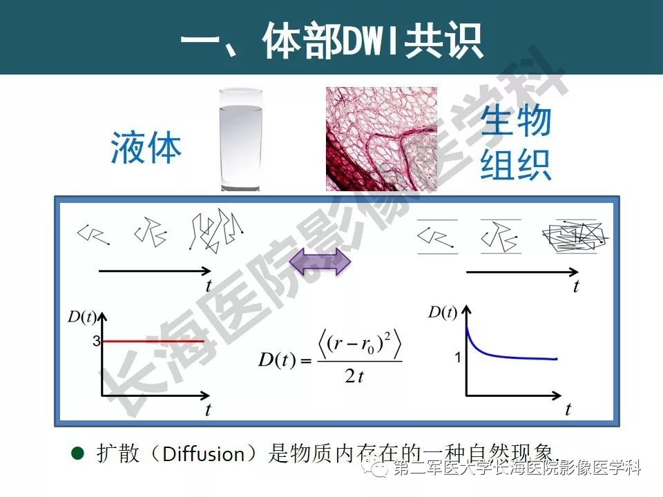 【PPT】体部DWI共识及胰腺DWI研究经验介绍