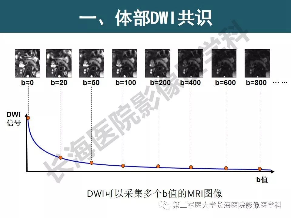 【PPT】体部DWI共识及胰腺DWI研究经验介绍
