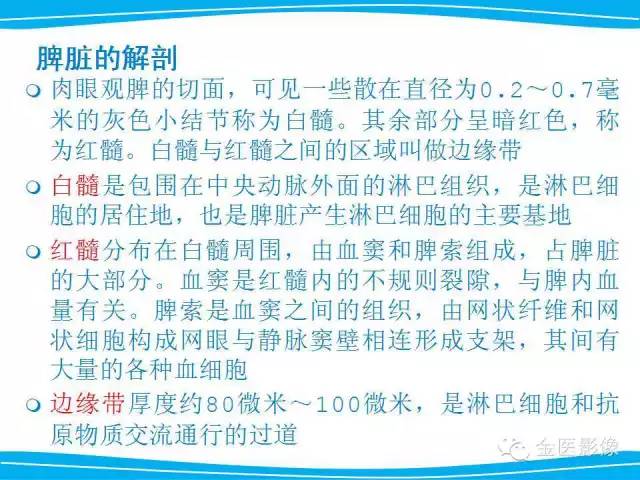 【PPT】脾脏错构瘤的影像表现