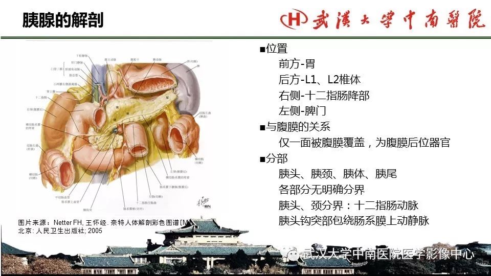 【PPT】胰腺正常解剖及形态变异、先天性疾病