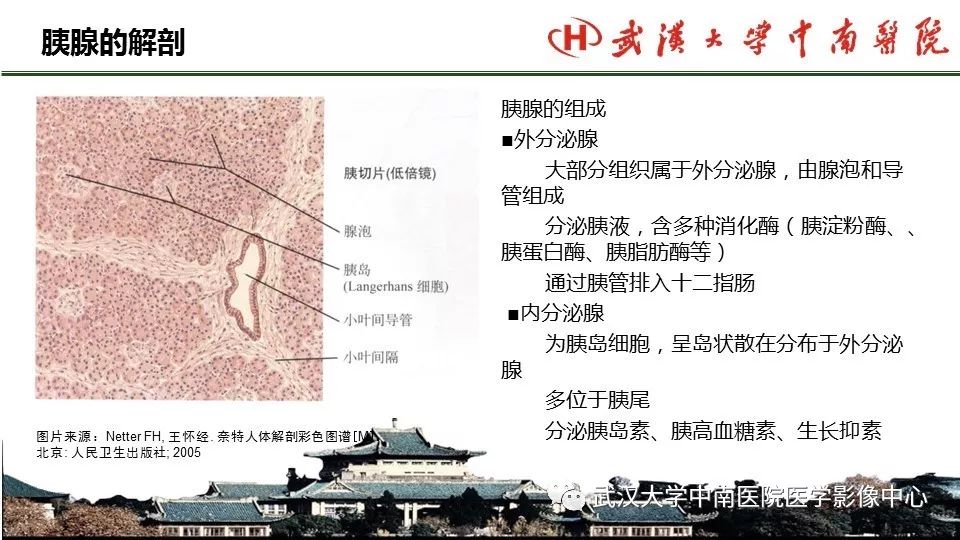 【PPT】胰腺正常解剖及形态变异、先天性疾病
