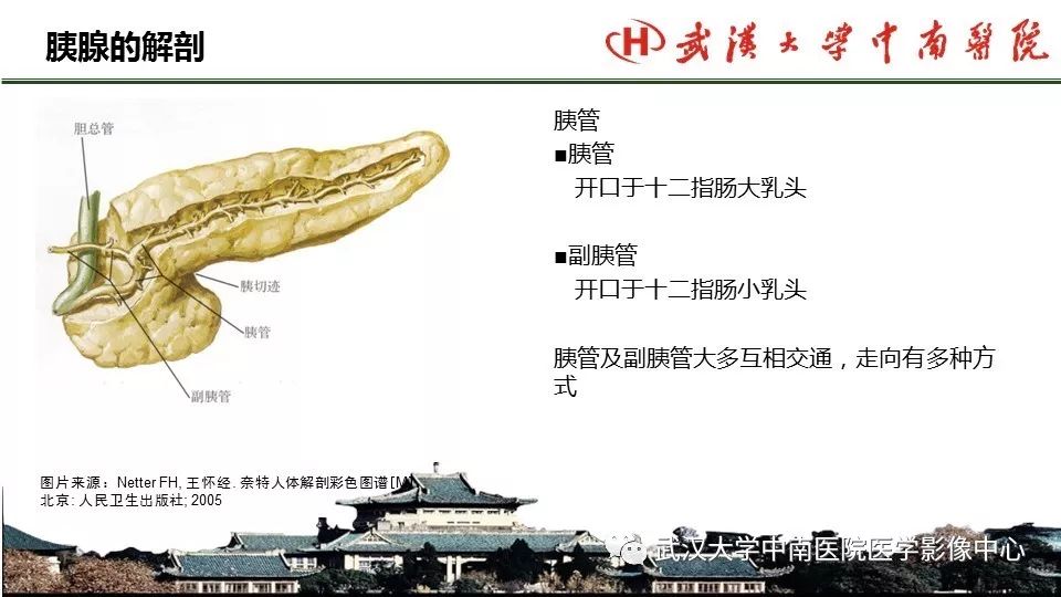【PPT】胰腺正常解剖及形态变异、先天性疾病