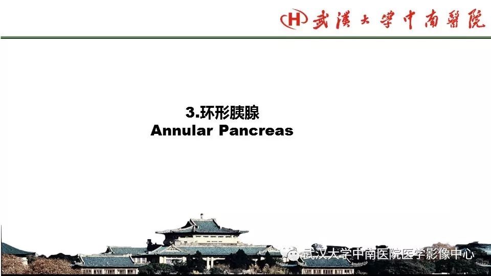 【PPT】胰腺正常解剖及形态变异、先天性疾病