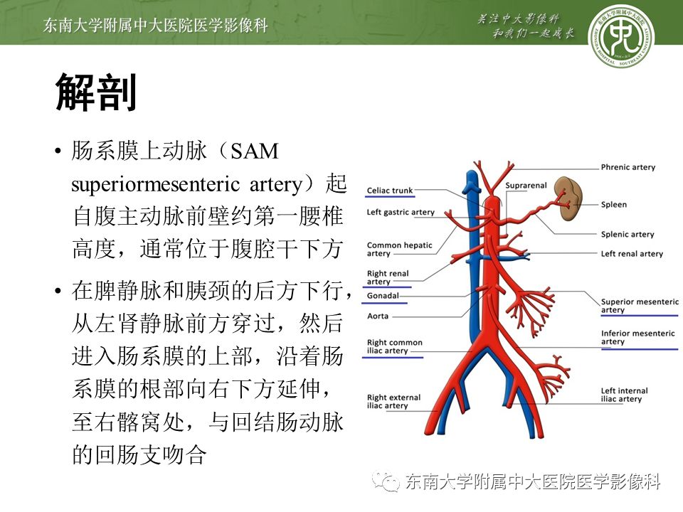 【病例】肠系膜上动脉栓塞2例CT影像