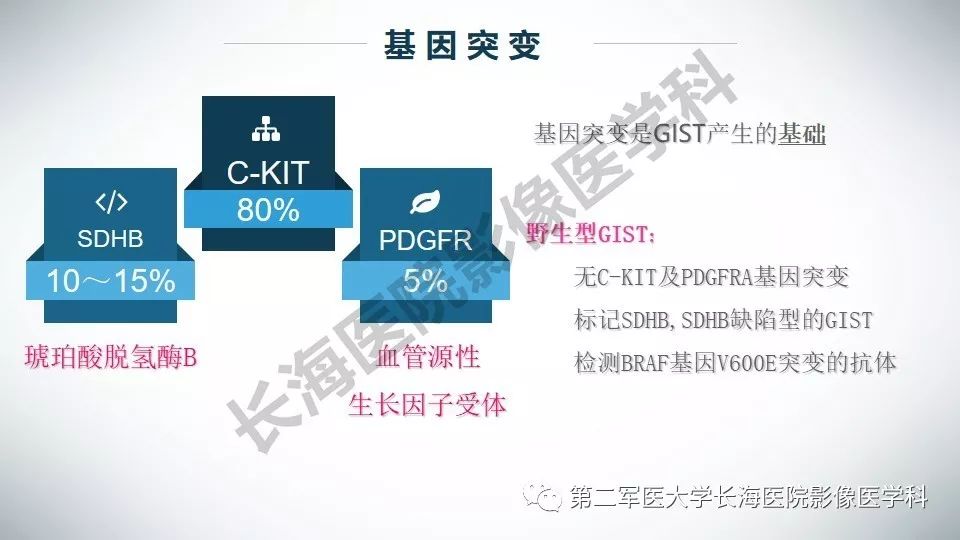 【PPT】胃间质瘤的影像评估