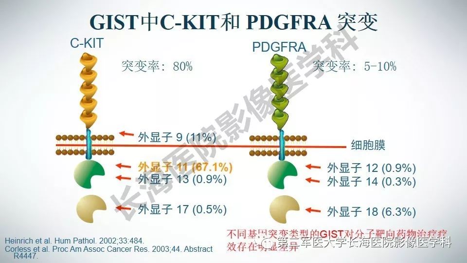 【PPT】胃间质瘤的影像评估