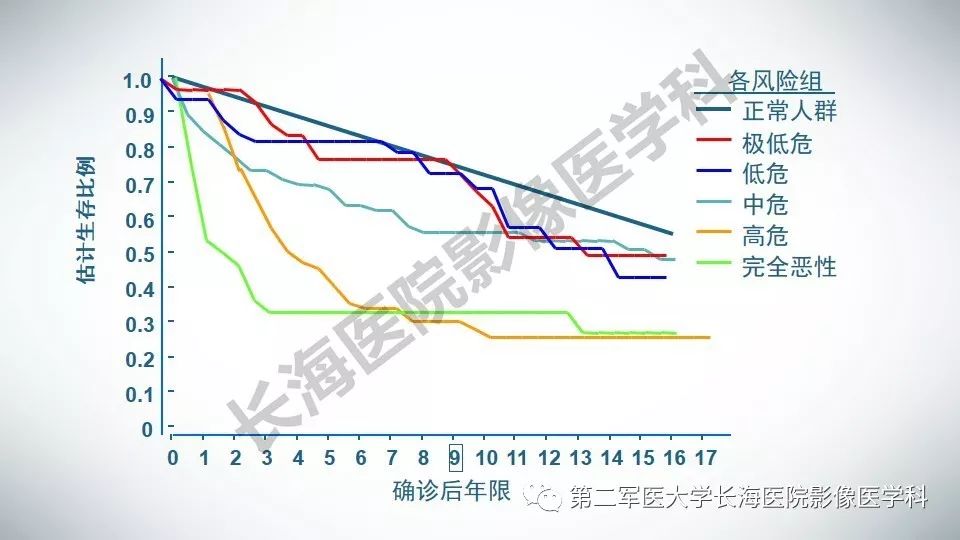 【PPT】胃间质瘤的影像评估
