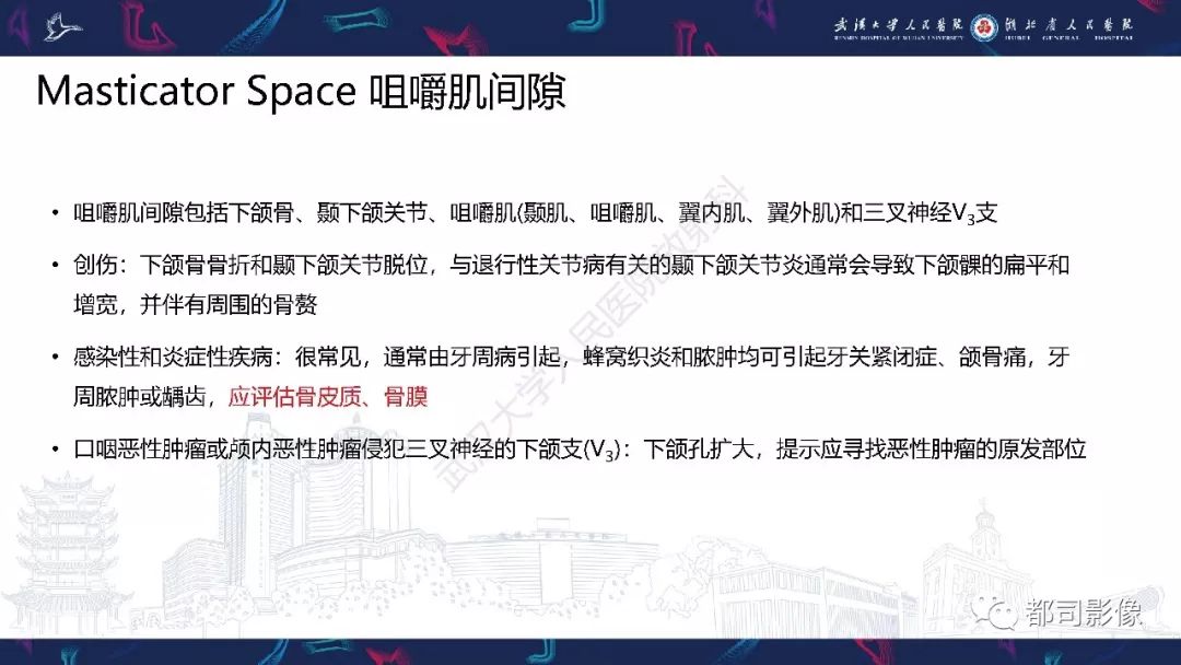 【PPT】颅底急诊病变CT影像诊断