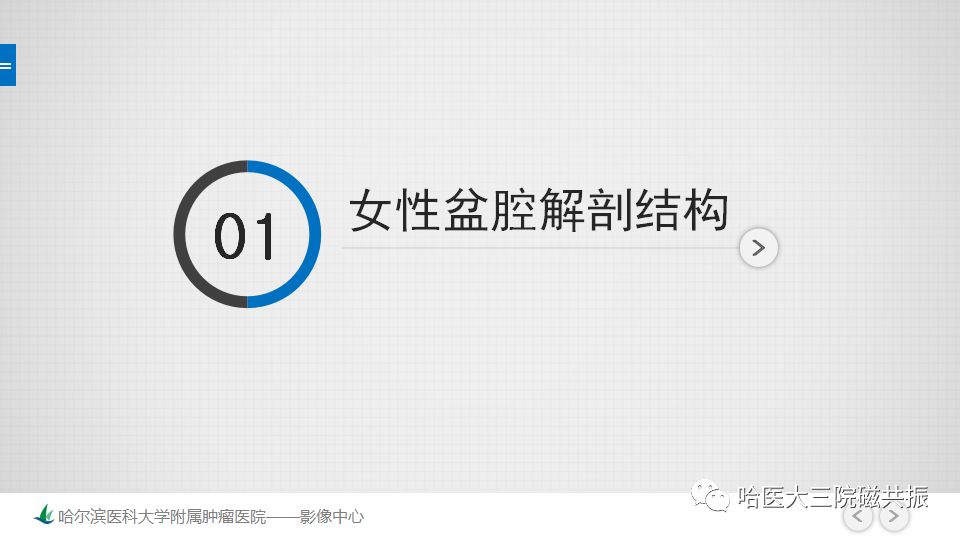 【PPT】女性盆腔肿瘤及肿瘤样变诊断思路分析—基于解剖位置