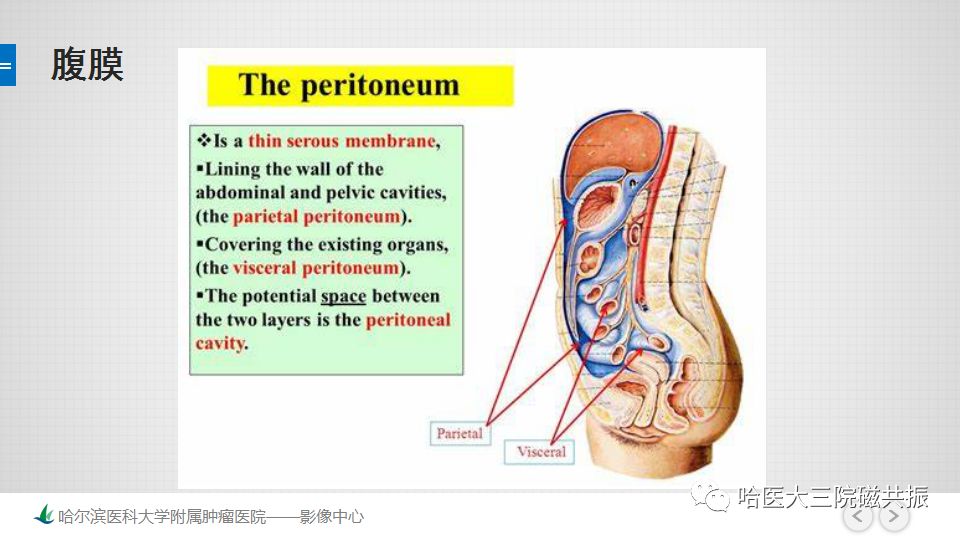 【PPT】女性盆腔肿瘤及肿瘤样变诊断思路分析—基于解剖位置