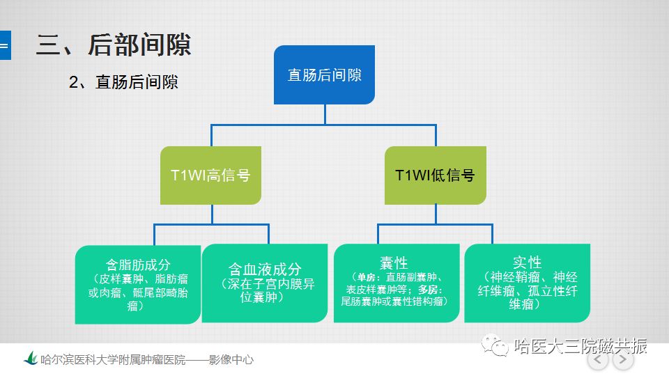 【PPT】女性盆腔肿瘤及肿瘤样变诊断思路分析—基于解剖位置
