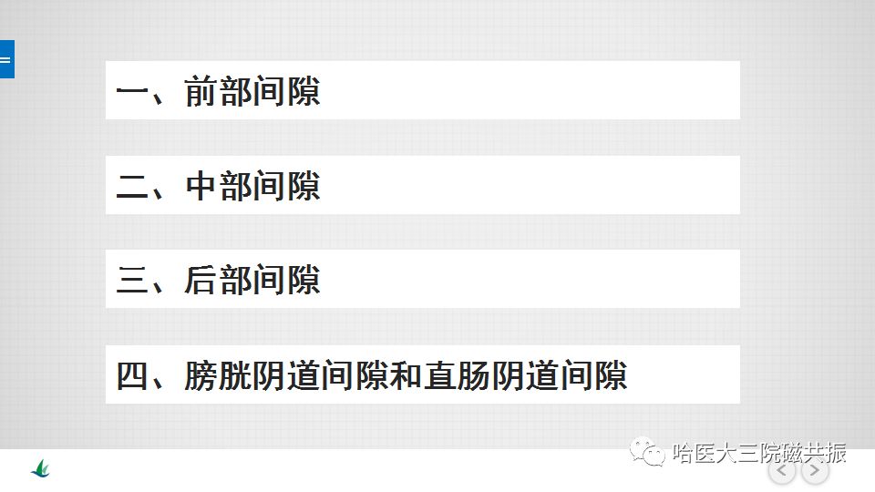 【PPT】女性盆腔肿瘤及肿瘤样变诊断思路分析—基于解剖位置