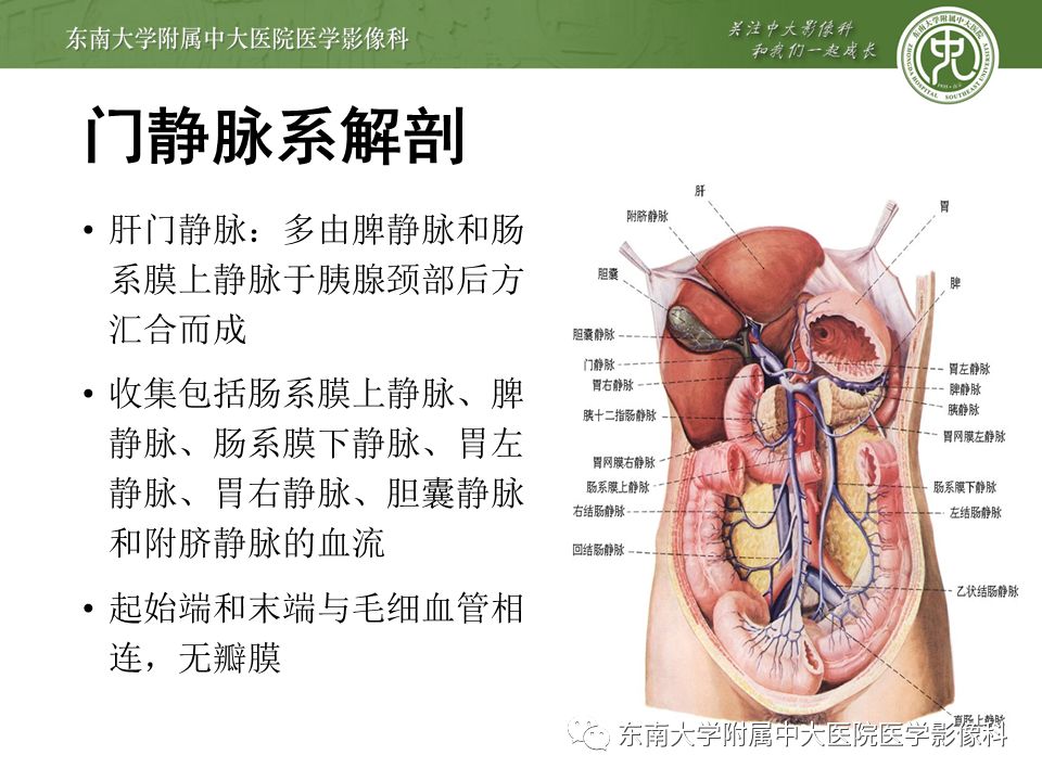 【PPT】门静脉积气影像表现及临床相关