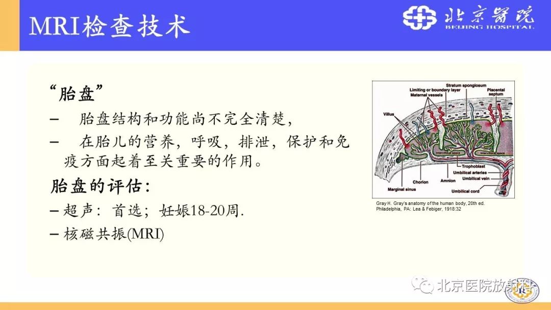 【PPT】胎盘从正常变异到植入异常与恶性肿瘤的MRI评估