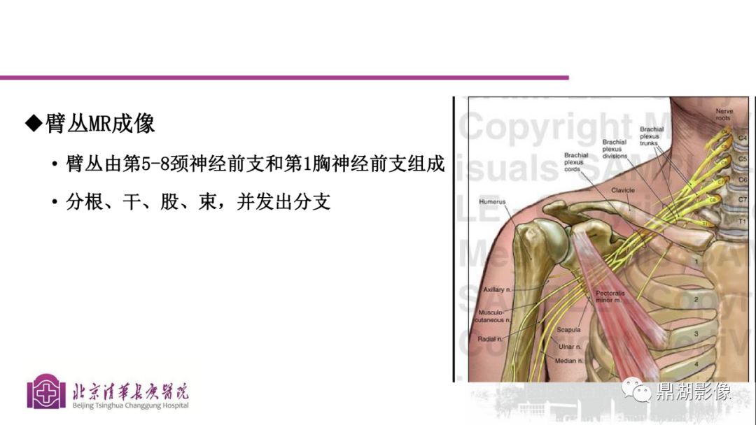【PPT】四肢肌骨成像MRI扫描技术