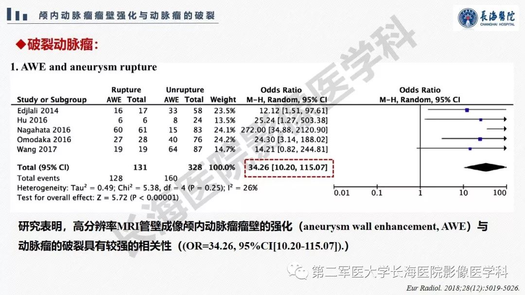 【PPT】高分辨率MRI管壁成像在颅内动脉瘤风险评估中的应用