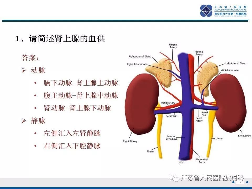 【PPT】肾上腺血管瘤