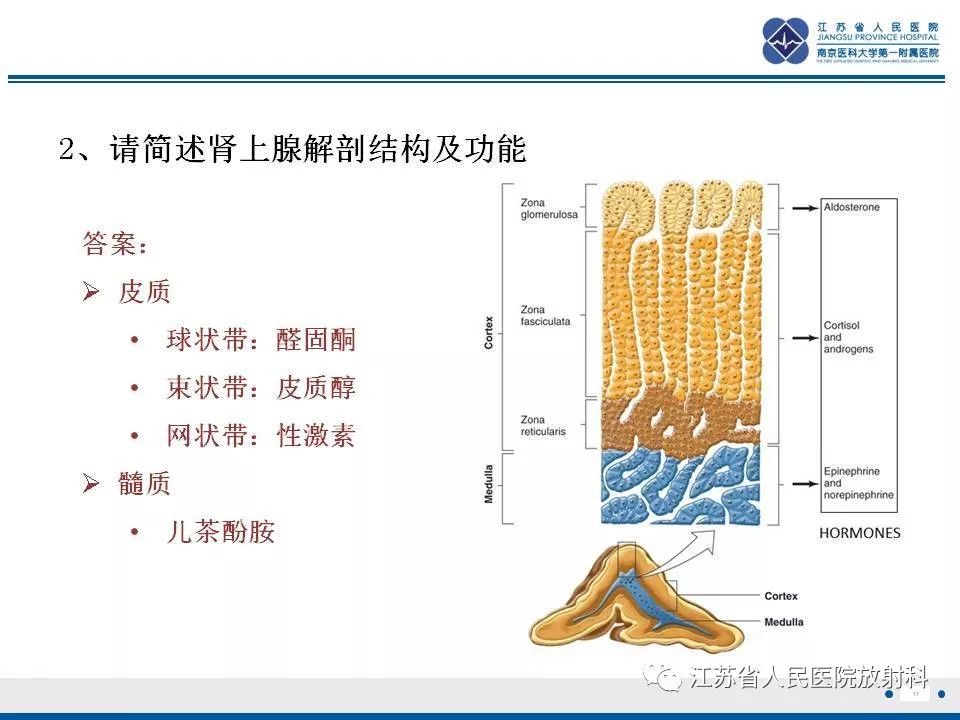 【PPT】肾上腺血管瘤