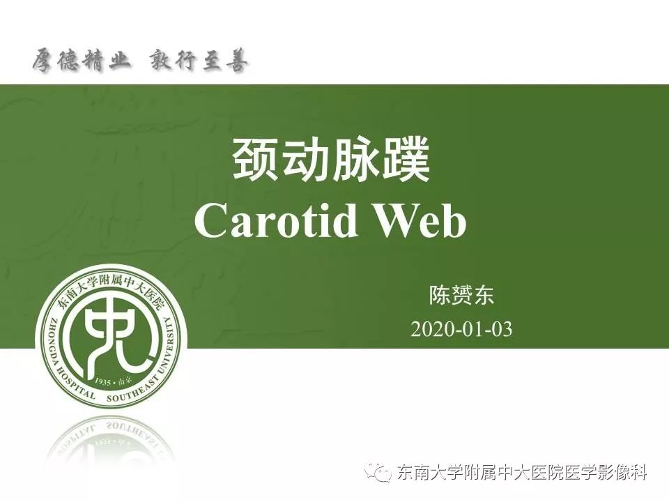 【PPT】颈动脉蹼