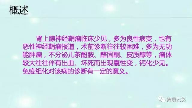 【病例】肾上腺神经鞘瘤1例CT影像