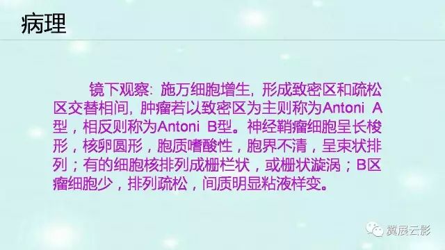 【病例】肾上腺神经鞘瘤1例CT影像