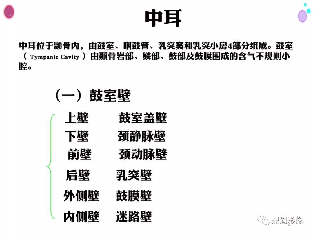 【PPT】颞骨断层解剖及CT三维重建