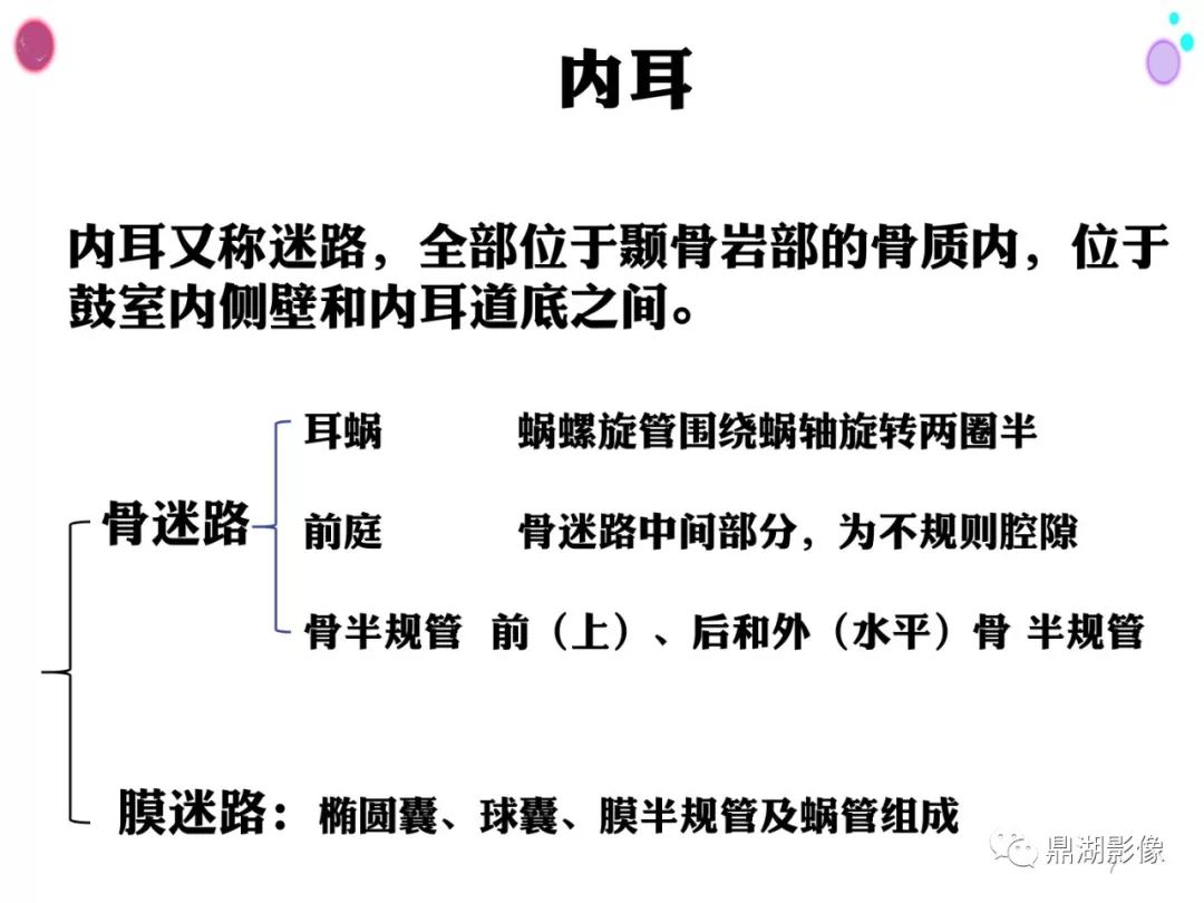 【PPT】颞骨断层解剖及CT三维重建