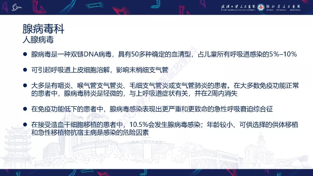 【PPT】病毒性肺炎影像诊断