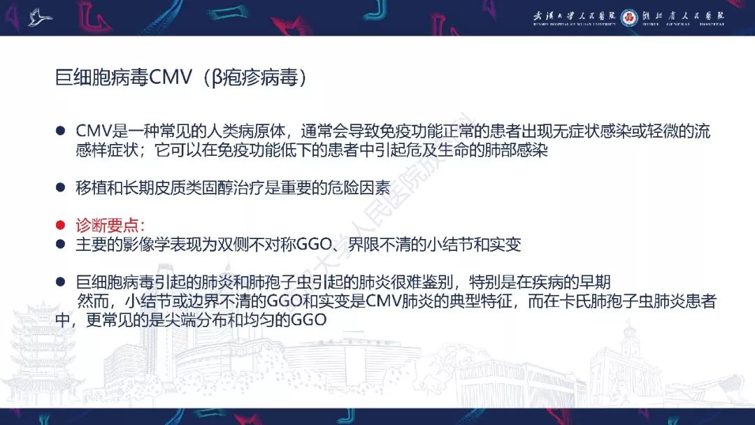 【PPT】病毒性肺炎影像诊断