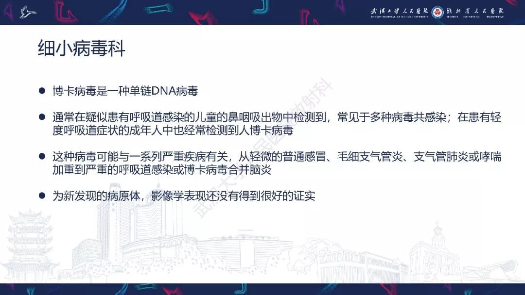【PPT】病毒性肺炎影像诊断