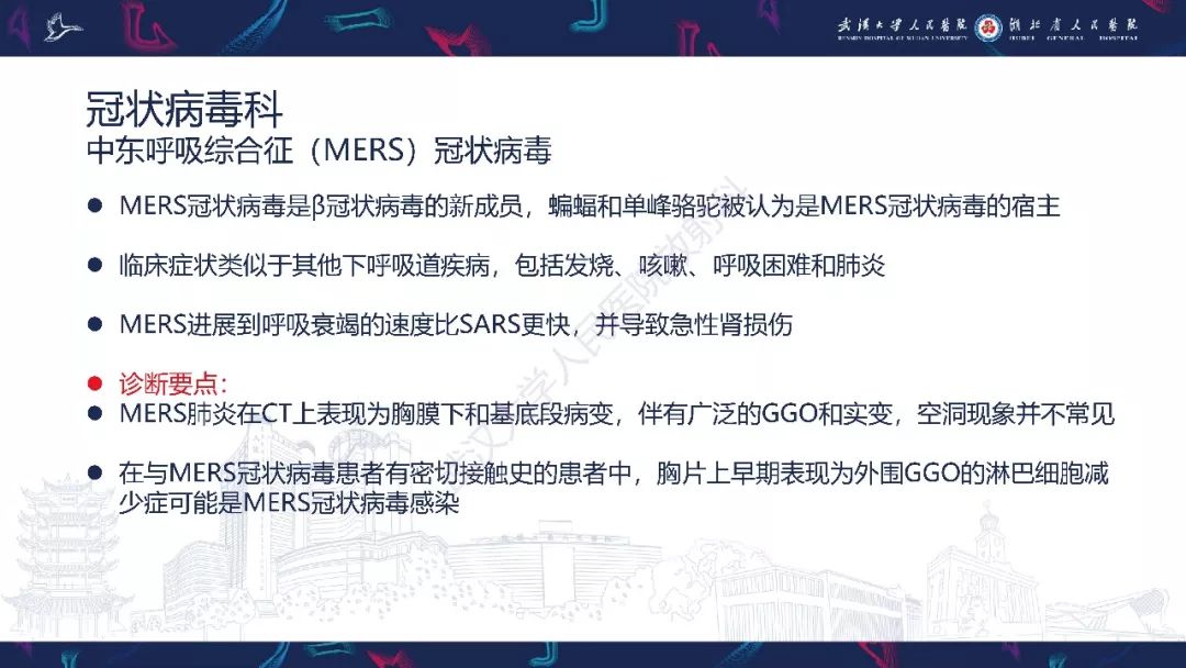 【PPT】病毒性肺炎影像诊断
