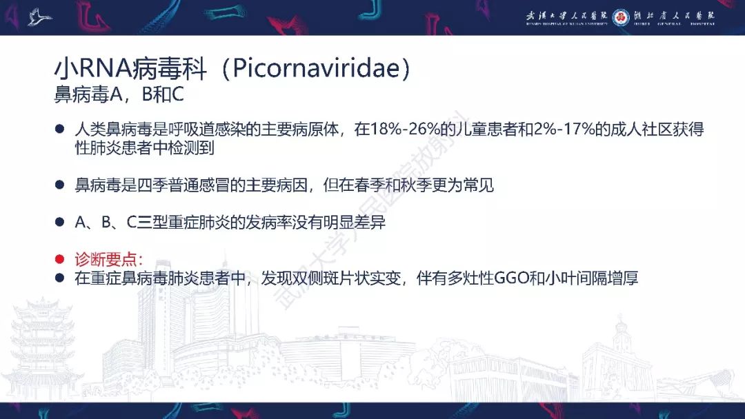【PPT】病毒性肺炎影像诊断