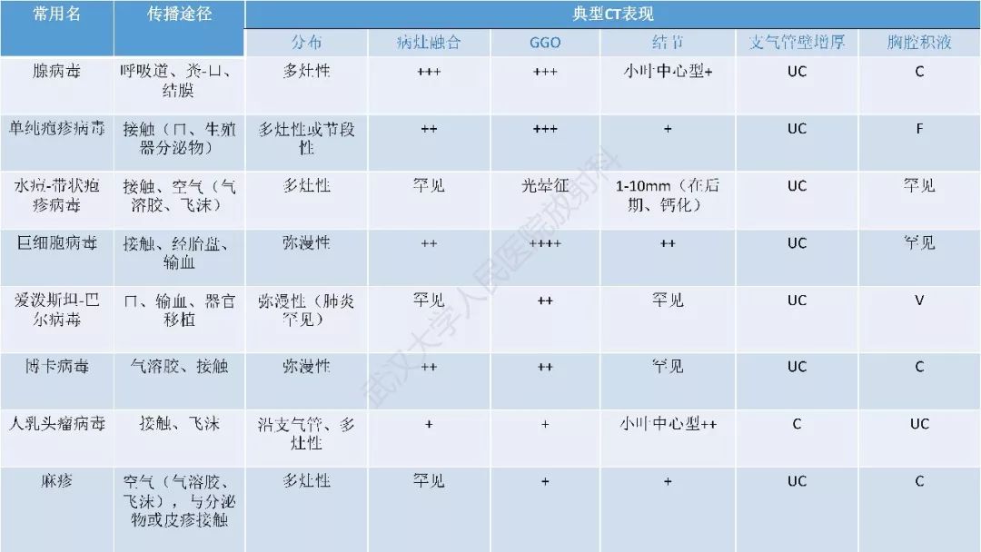【PPT】病毒性肺炎影像诊断