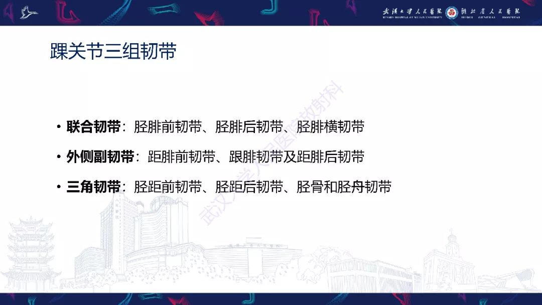 【PPT】踝关节运动损伤MR诊断