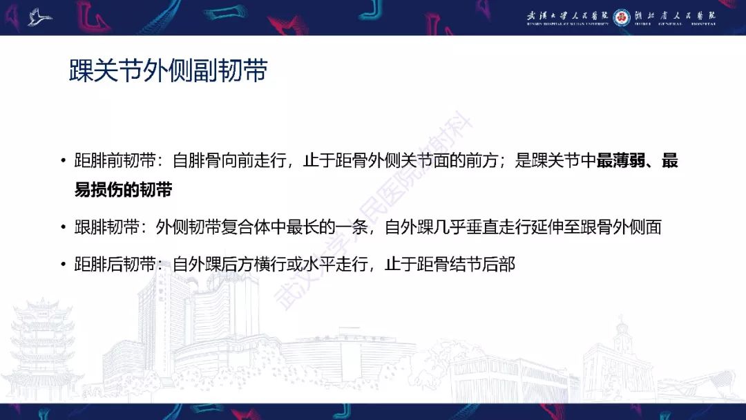 【PPT】踝关节运动损伤MR诊断