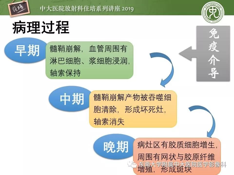 【PPT】多发性硬化的影像表现及鉴别诊断