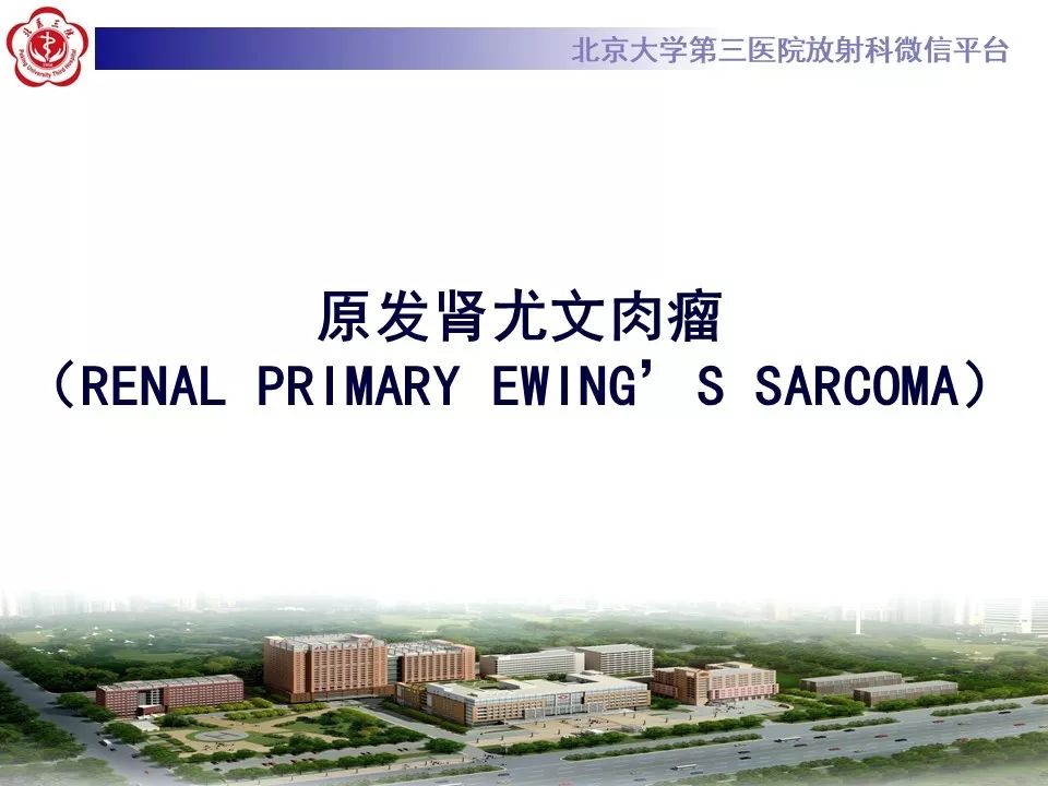 【PPT』原发肾尤文肉瘤