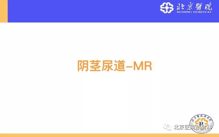 【PPT】男性盆腔常见疾病MR诊断