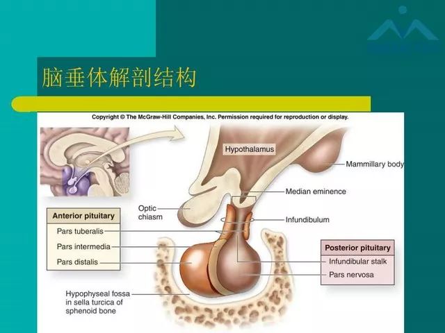 【PPT】儿童Rathke裂囊肿的诊断要点及临床特征