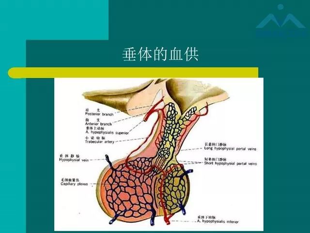 【PPT】儿童Rathke裂囊肿的诊断要点及临床特征