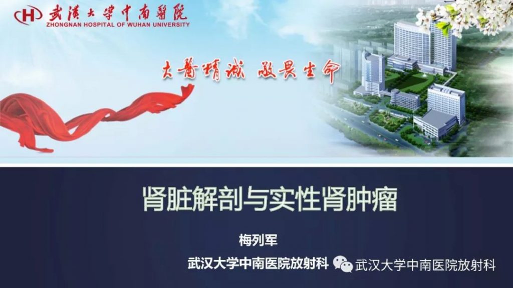 【PPT】肾脏解剖与实性肿瘤