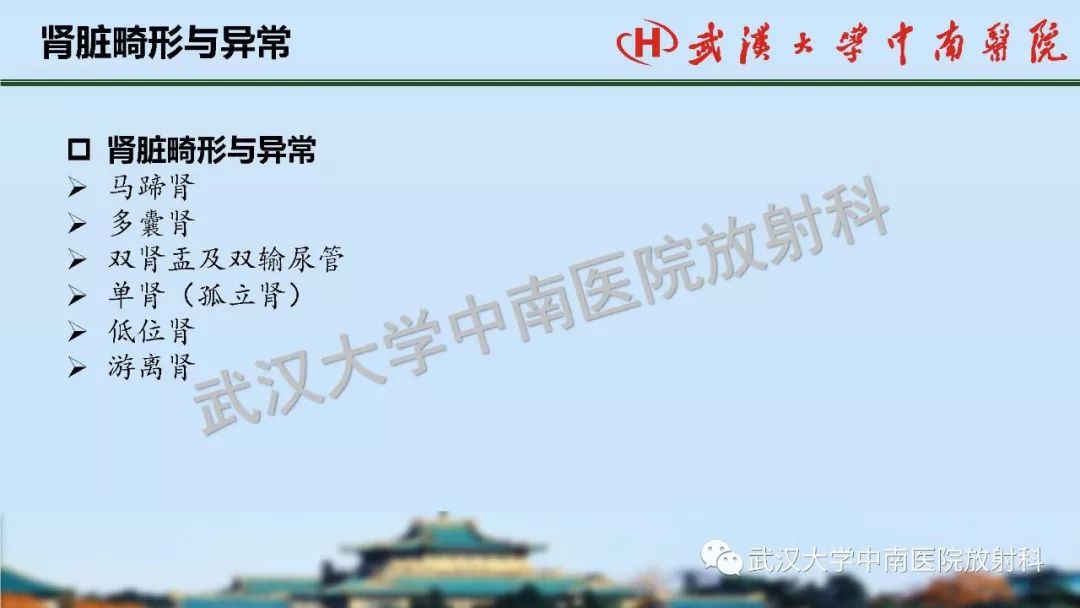 【PPT】肾脏解剖与实性肿瘤