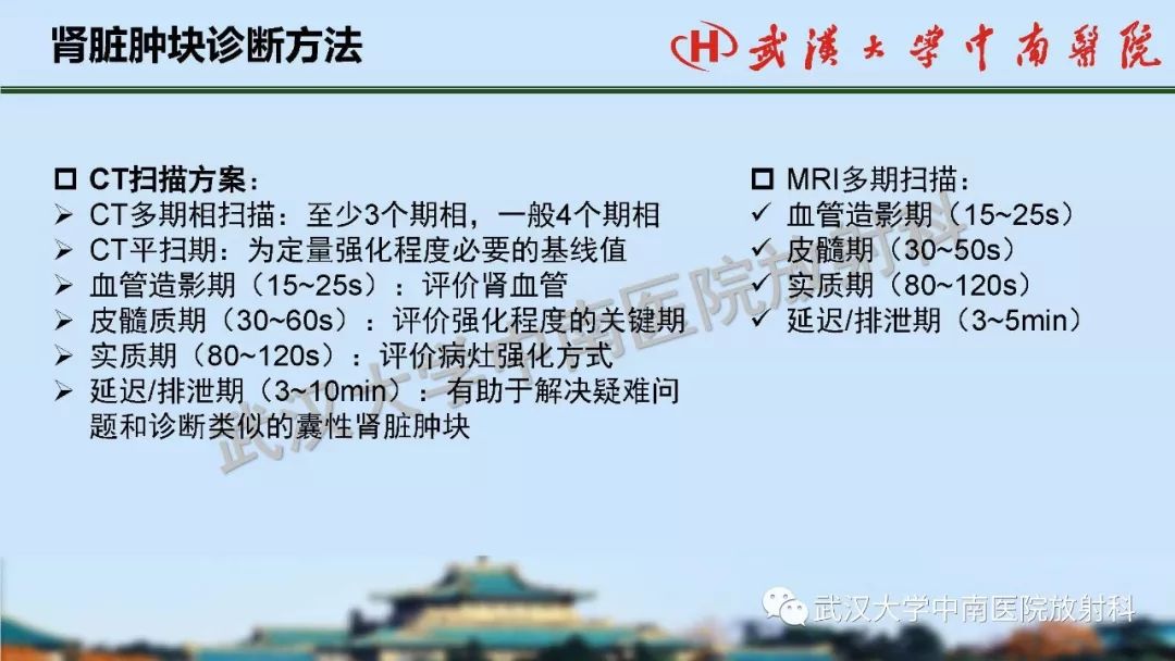 【PPT】肾脏解剖与实性肿瘤